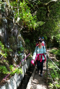 Walking in Madeira